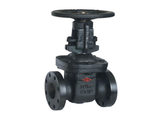 Cast Iron Korean Standard Flanged Gate Valve KS B 2350 Black DN50-DN300