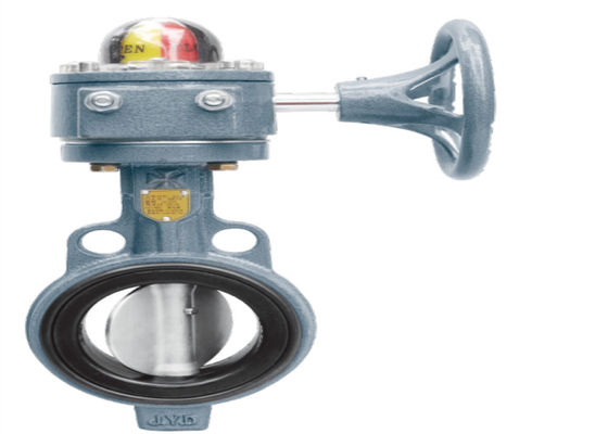 Jis Standard 250mm Gear Type Butterfly Valve Stainless Steel
