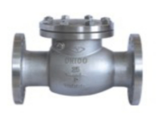 Stainless Steel Flanged Swing Check Valve Bahan Asam Nitrat 1.6/2.5/4.0Mpa